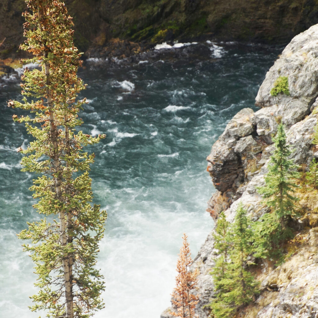 River of Yellowstone Grand Canyon Summer 2025 Photograph by Dennis Sotolongo