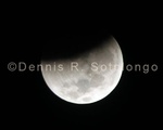 Moon Eclipse 7 .jpg