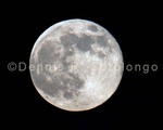 Super Moon 42.jpg