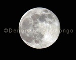 Super Moon 45 .jpg