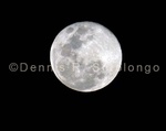Super Moon 48.jpg