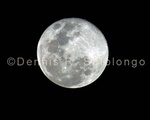 Super Moon 50 .jpg