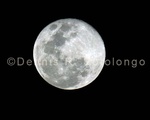 Super Moon 51.jpg