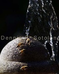 Bees on the Fountain 2.jpg