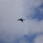 Navy Blue Angel 1 (AVI 18).JPG