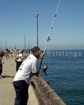 Fishing at Venice, CA.jpg