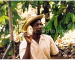 Plantation Guides, Jamaica.jpg