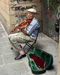 The Violinist of Florence.jpg