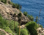 Antigua's Cliff 3 (SCE 73).jpg